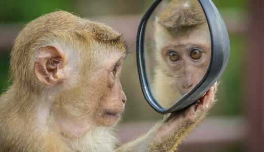 勉強における自己分析のポイントとその活かし方